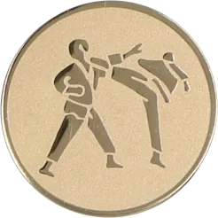 Emblemat A60 Karate 25/50 mm